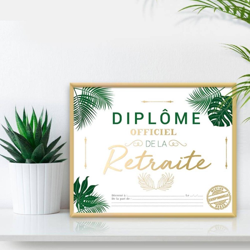 Cadre diplôme retraite