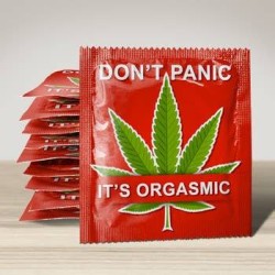 Préservatif "Don't panic it's orgasmic"