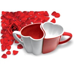 Branleur Tasse drôle cadeau pour Saint Valentin pour COPAIN COPINE Mari Femme