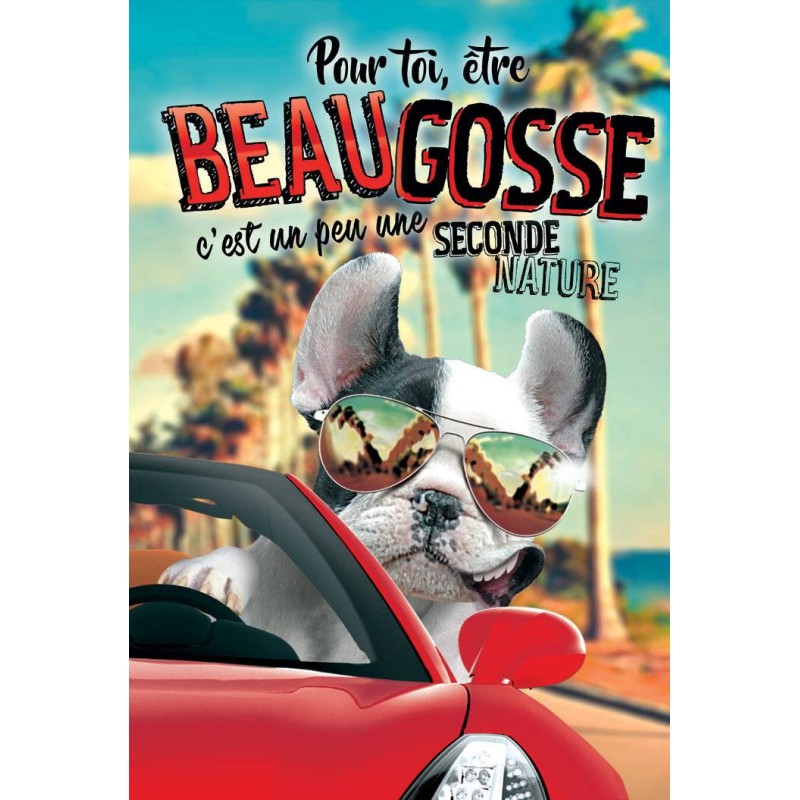 Carte géante "Beau gosse"