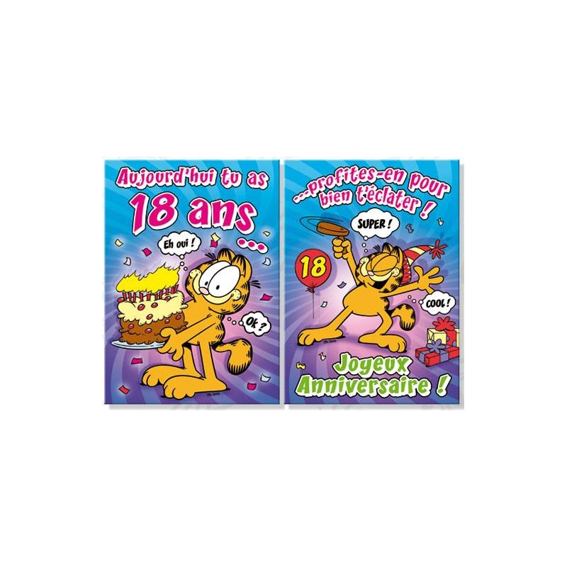 Carte Anniversaire Garfield 18 Ans Dimensions 19 X 26 5cm