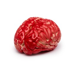 Cerveau artificiel