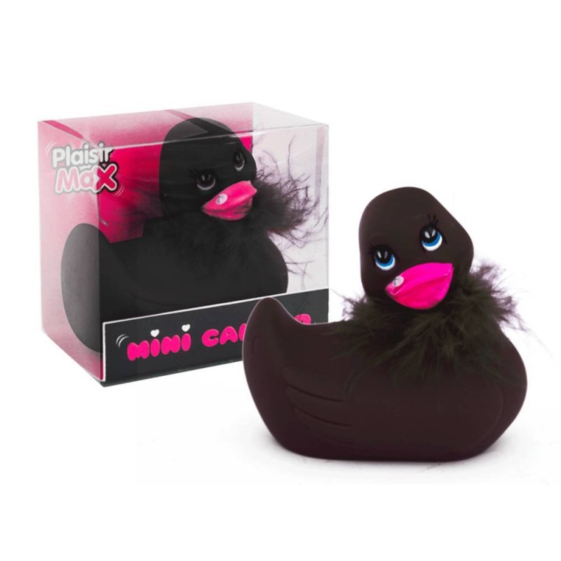 Canard vibro écharpe noire bec rose